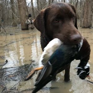 Meet your Posher, Jacob